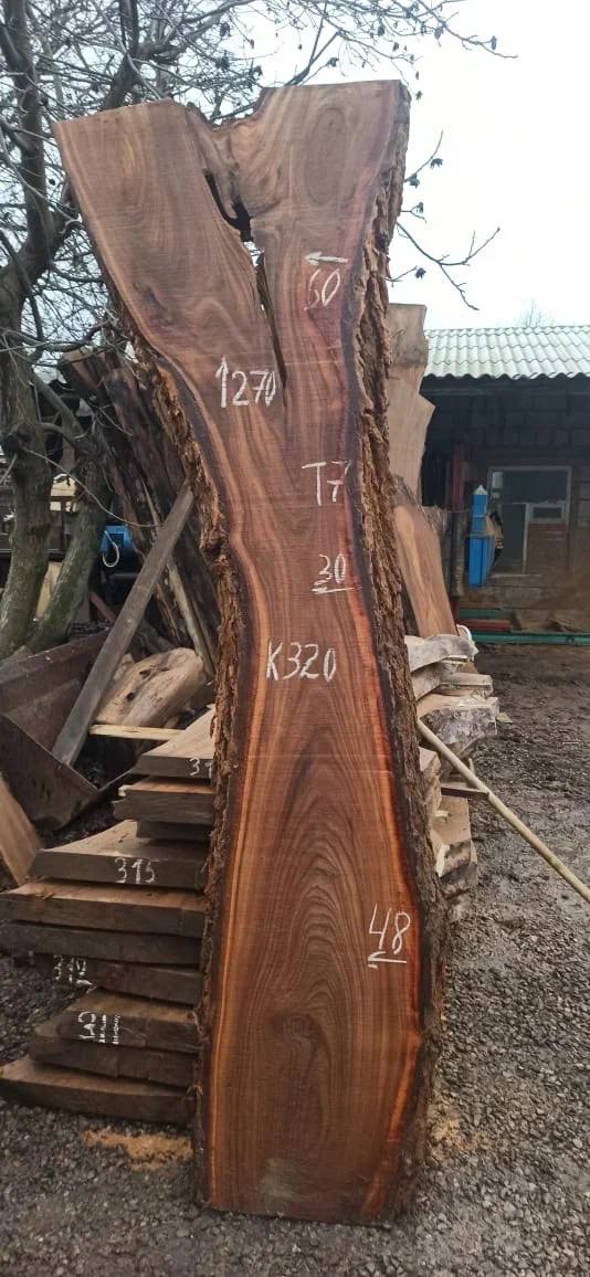 Слэб карагач k320, 270 × 45 × 7 см
