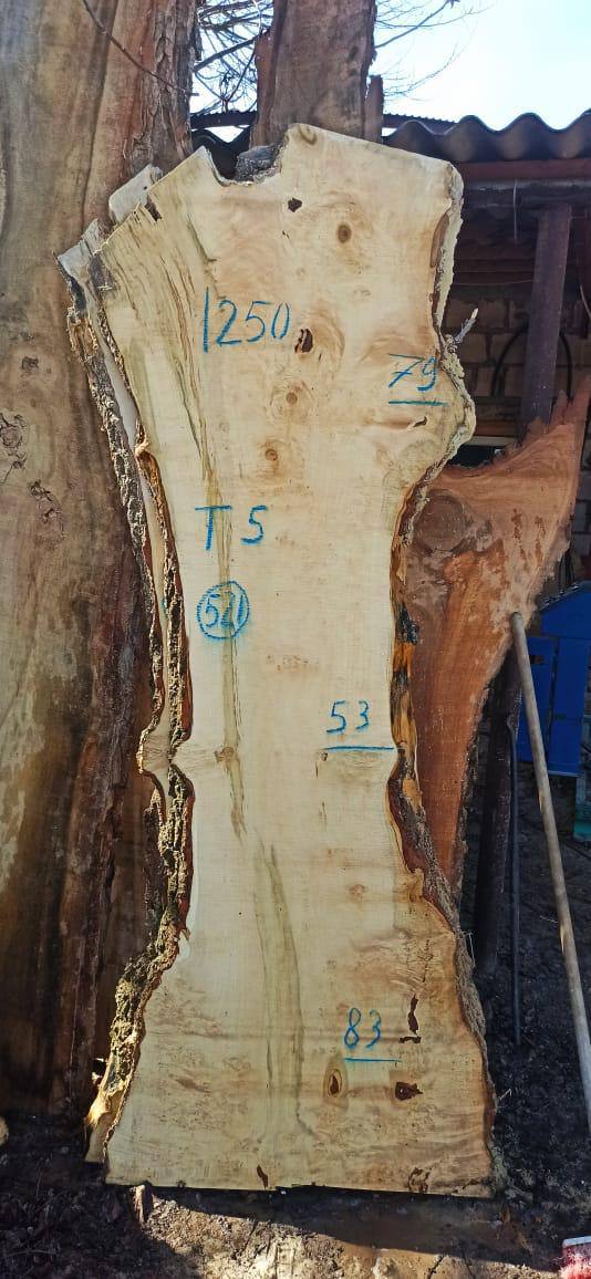 Слэб клен k521, 250 × 70 × 5 см