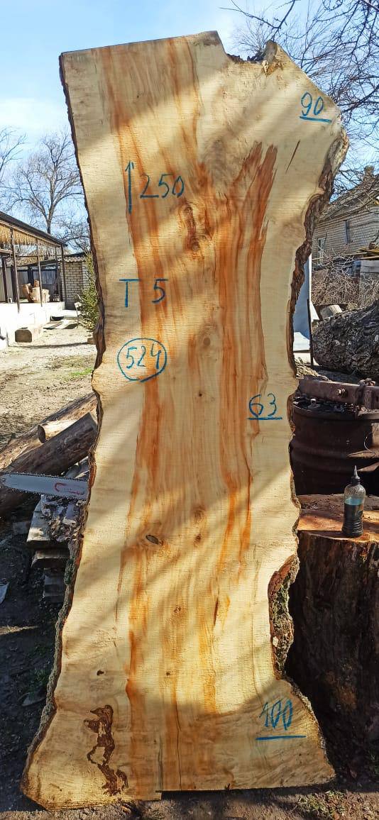 Слэб клен k524, 250 × 85 × 5 см