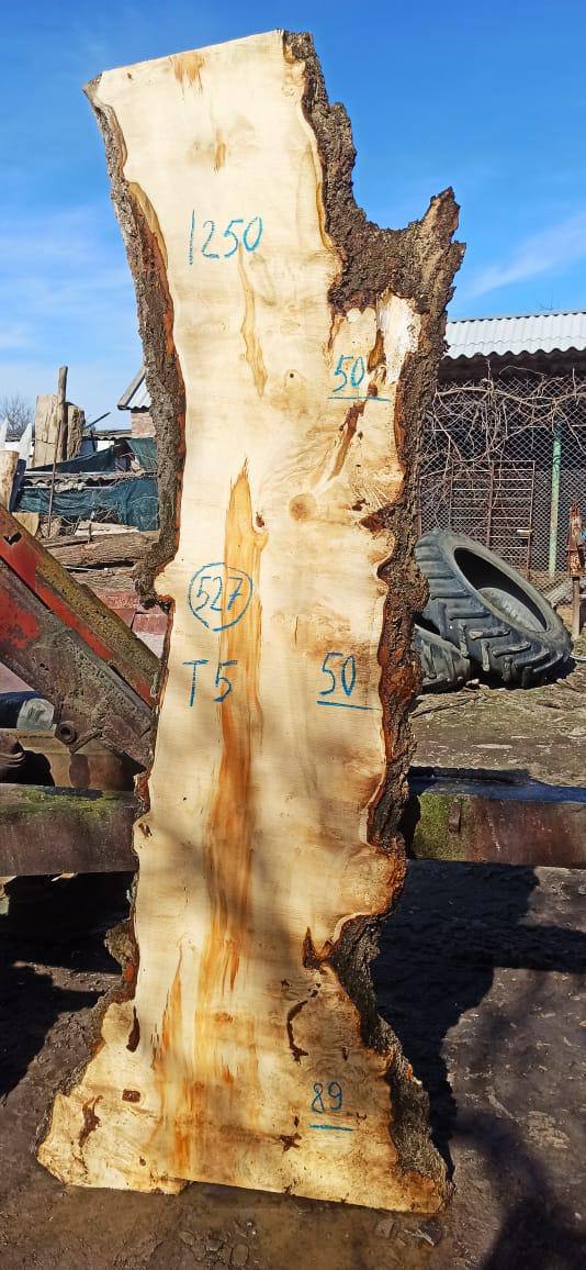 Слэб клен k527, 250 × 65 × 5 см