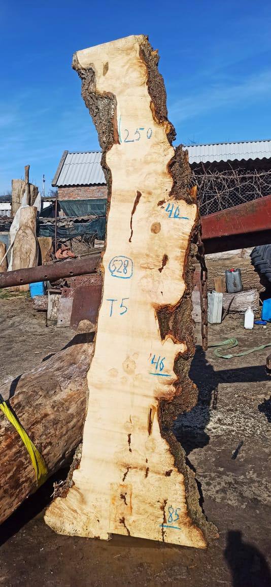 Слэб клен k528, 250 × 60 × 5 см