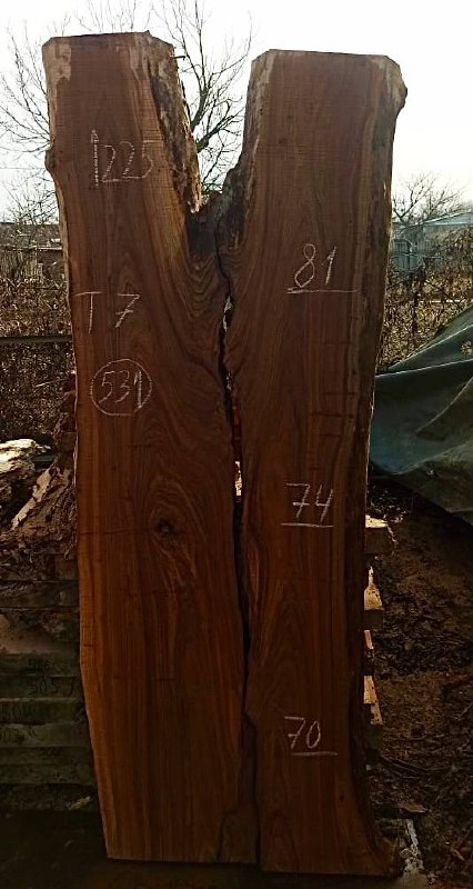 Слэб карагач k531, 225 × 75 × 7 см