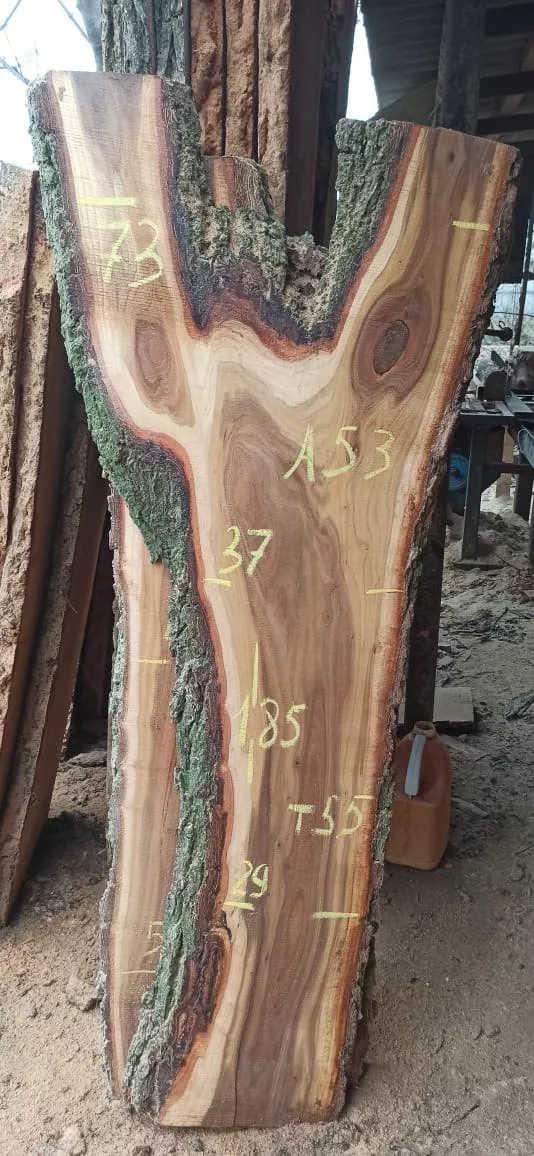 Слэб карагача a53, 185 × 30 × 5 см