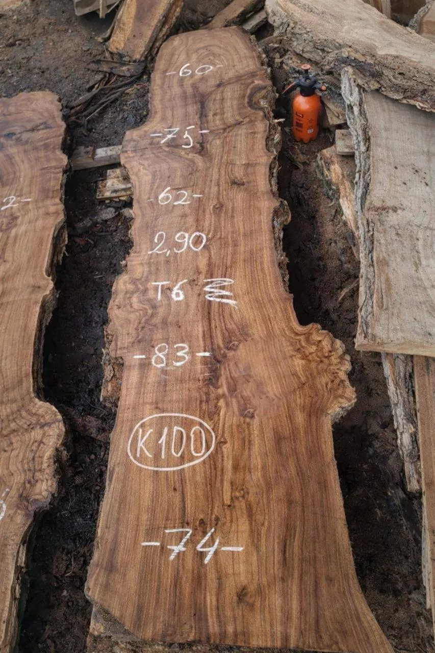 Слэб карагача k100, 290 × 70 × 6 см