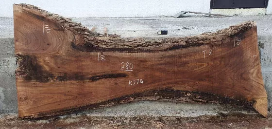 Слэб карагач k270, 280 × 70 × 7 см