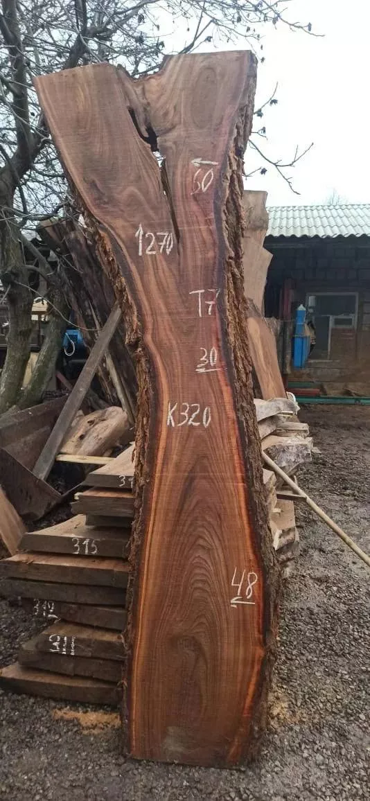 Слэб карагач k320, 270 × 45 × 7 см