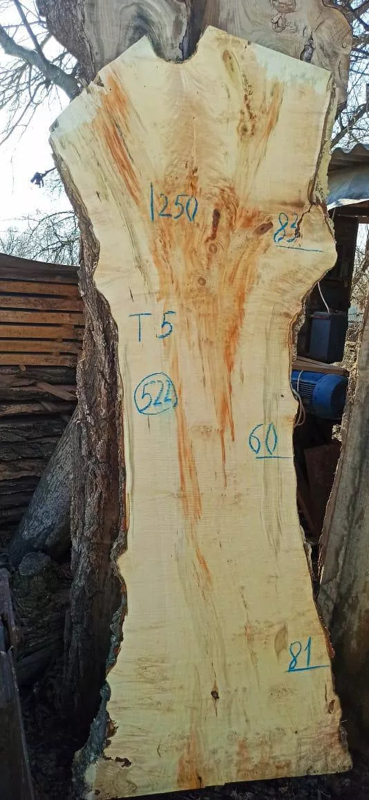 Слэб клёна k522, 250 × 75 × 5 см