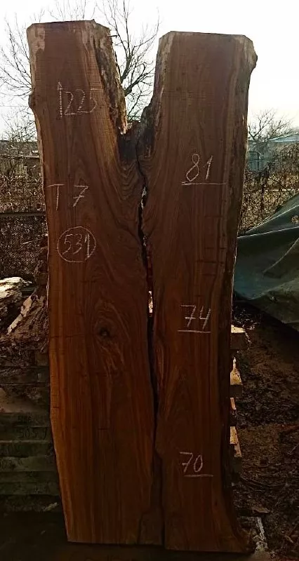 Слэб карагач k531, 225 × 75 × 7 см