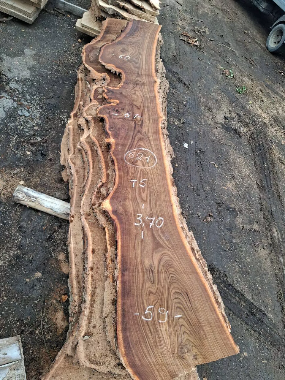 Слэб карагача k621, 370 × 60 × 5 см