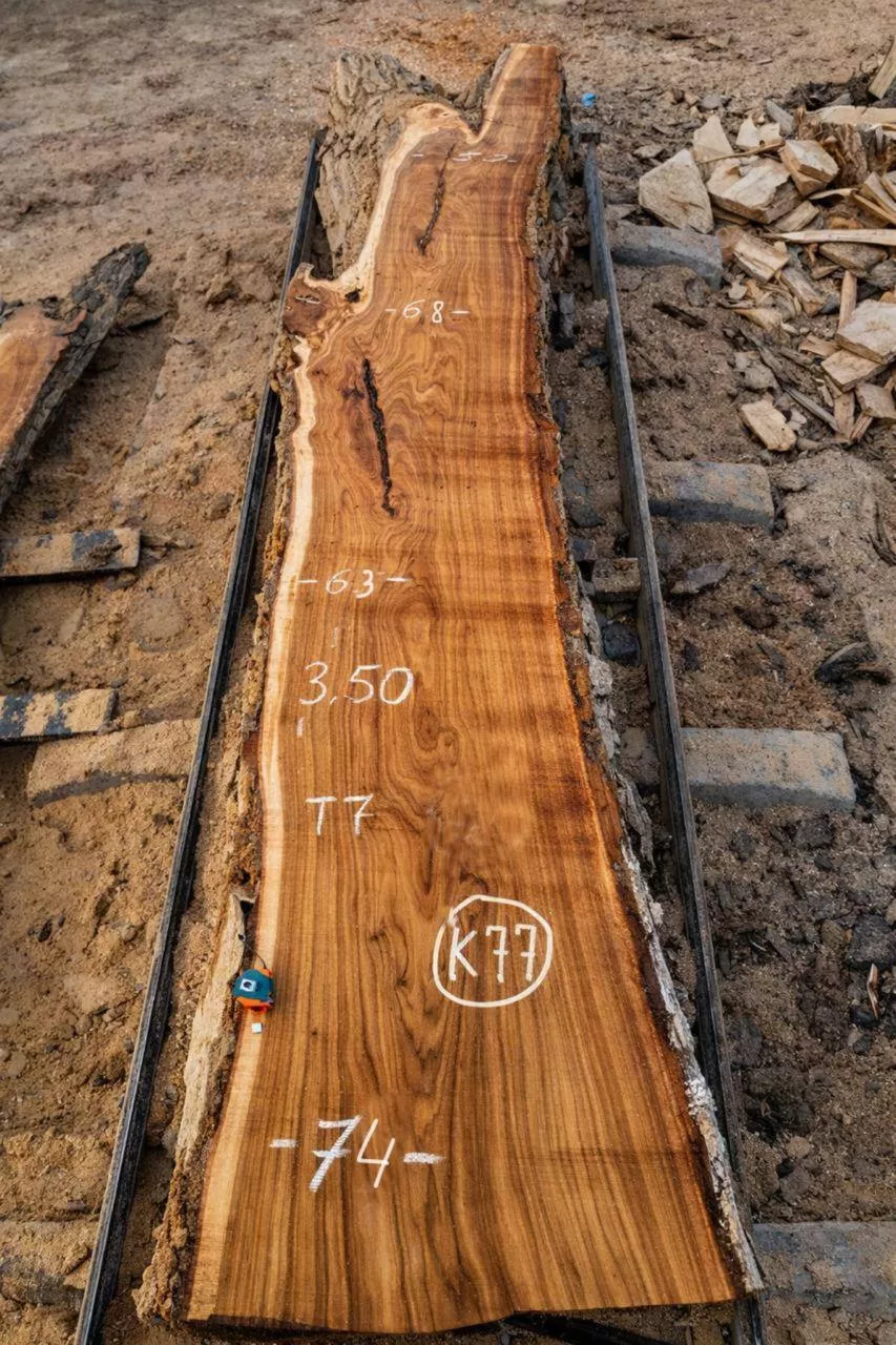 Слэб карагача k77, 350 × 70 × 7 см