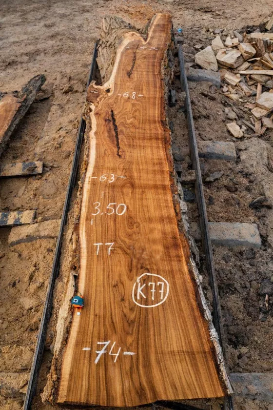 Слэб карагач k77, 350 × 70 × 7 см