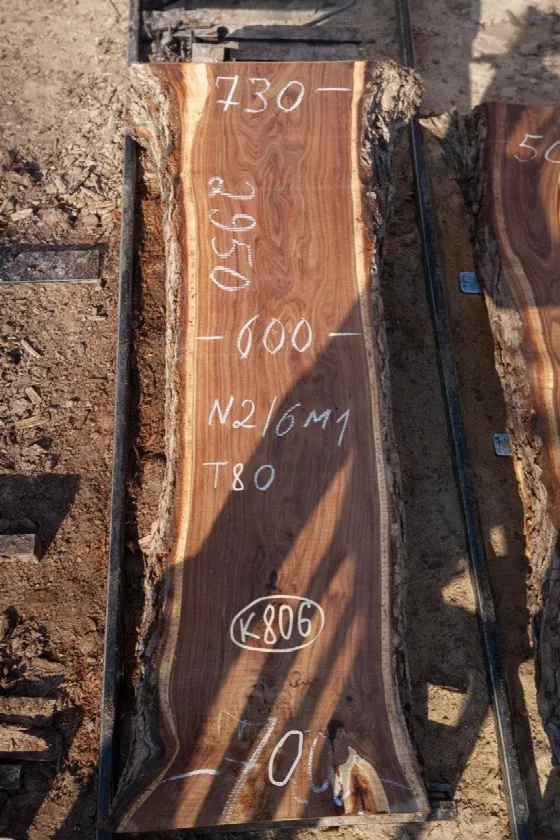 Слэб карагач k806, 295 × 70 × 8 см