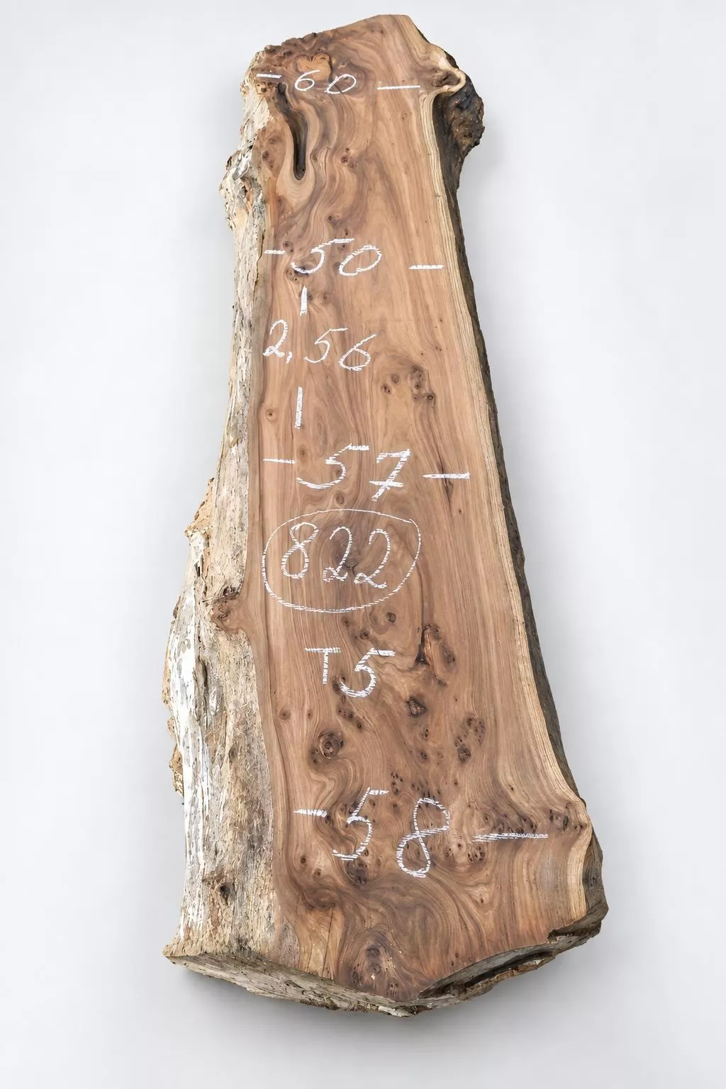 Слэб карагача k822, 256 × 55 × 5 см
