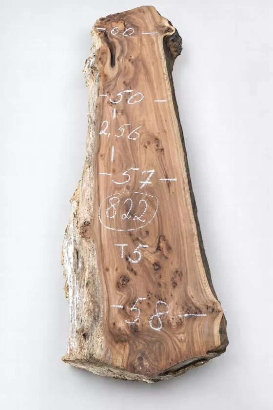 Слэб карагач k822, 256 × 55 × 5 см