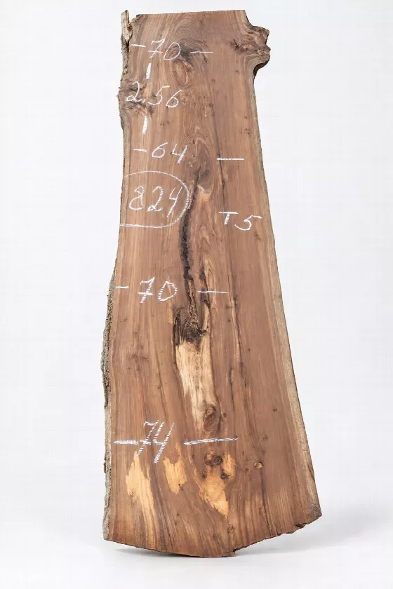 Слэб карагач k824, 256 × 70 × 5 см