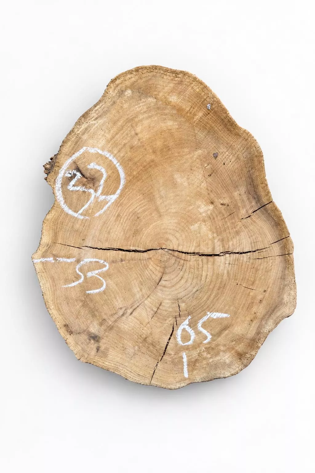 Слэб карагача s32, 65 × 53 × 5 см