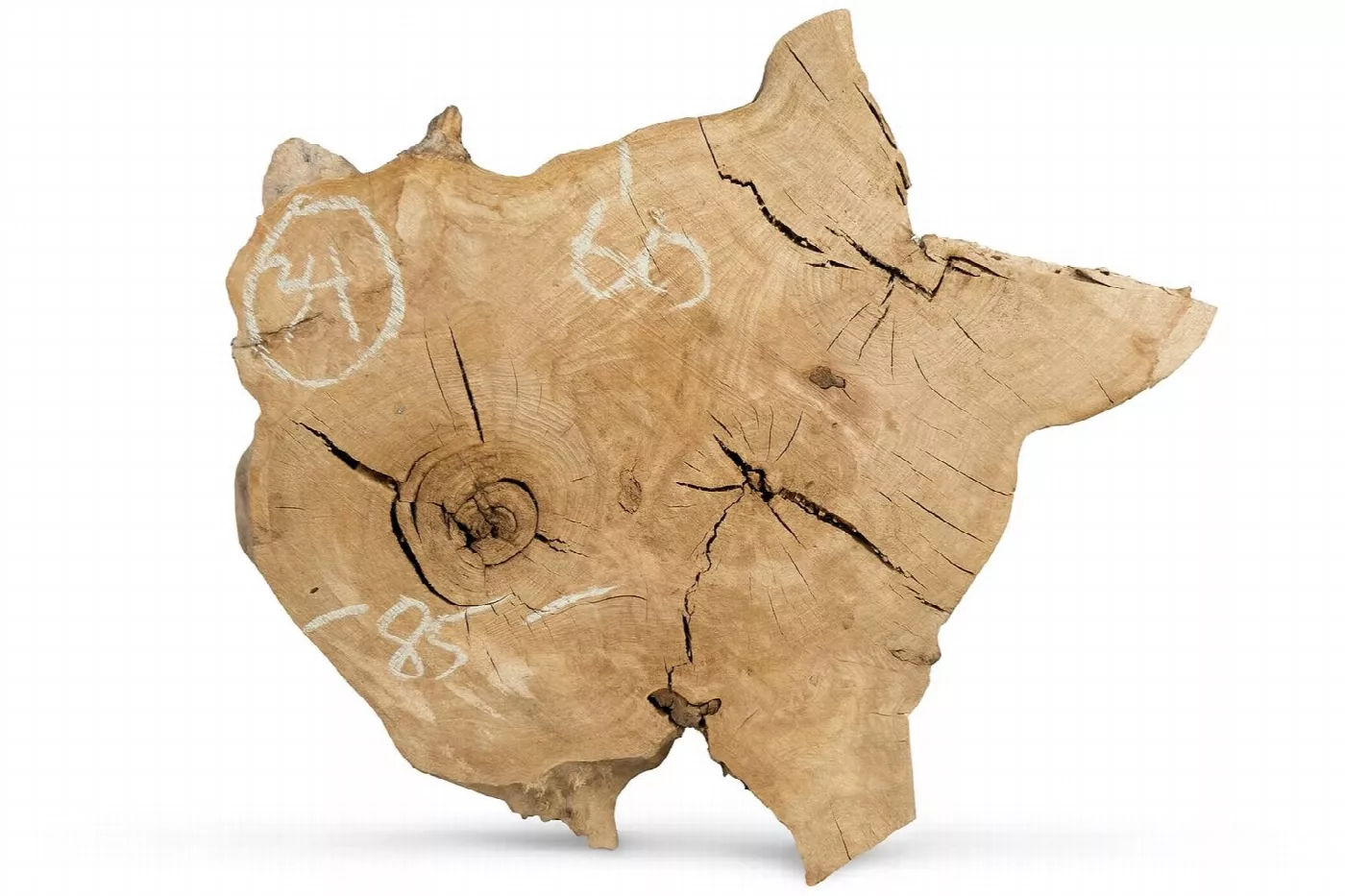 Слэб карагача s34, 60 × 85 × 5 см