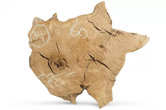 Слэб карагач s34, 60 × 85 × 5 см